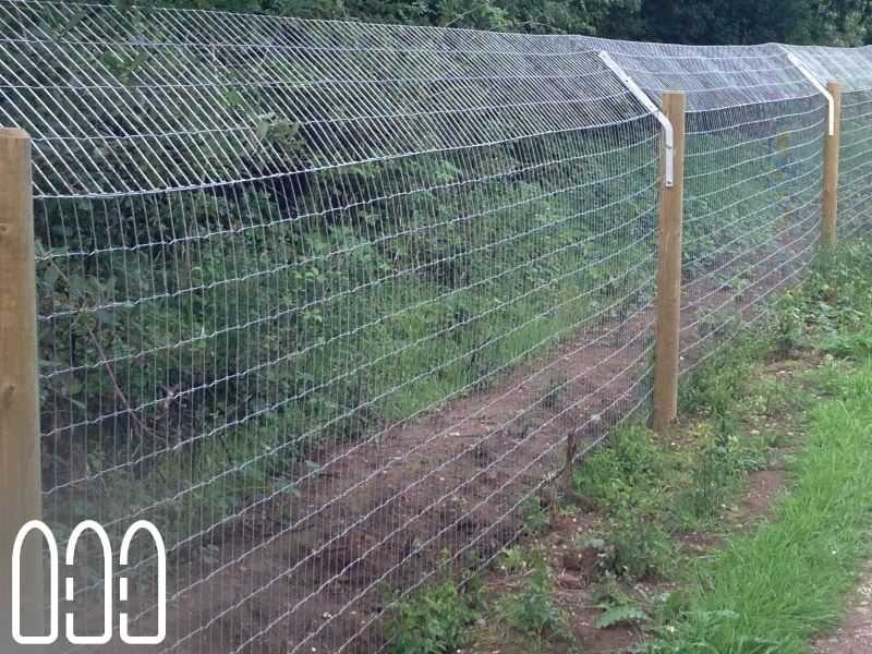 Rabbit Fencing